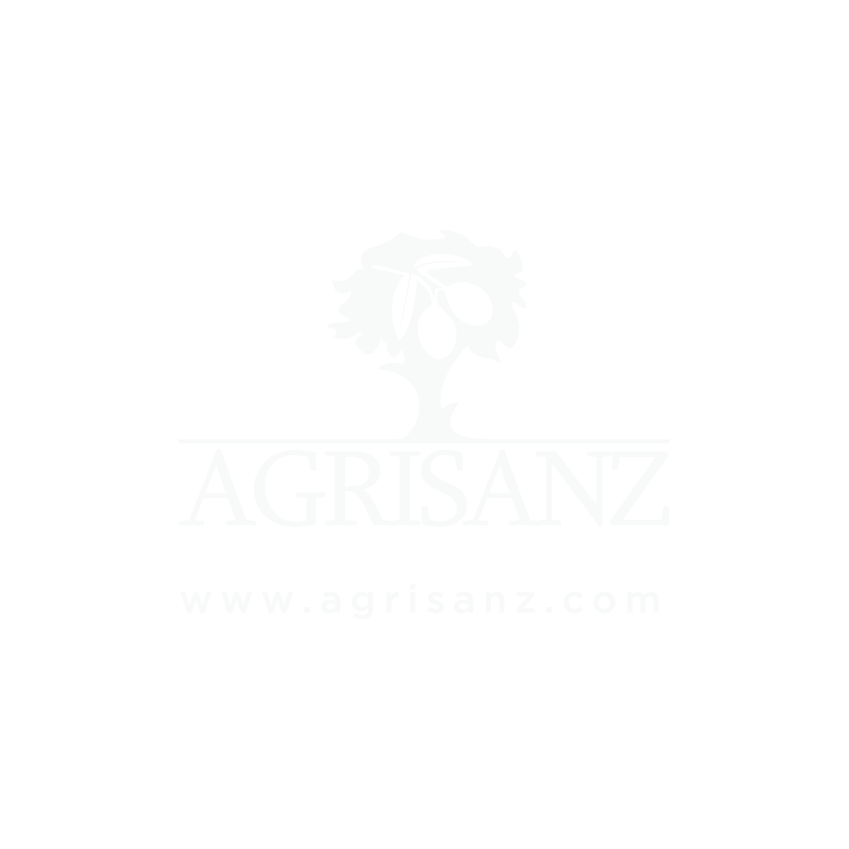 Agisanz company logo
